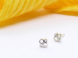 Ohrschmuck &raquo; Silber
